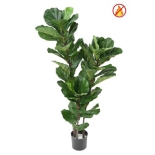 Künstlicher Ficus Lyrata, ca. 130cm hoch, grün