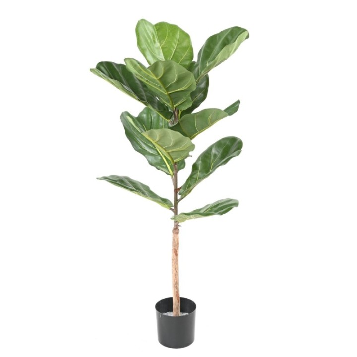 Künstlicher Ficus Lyrata, ca. 100cm hoch, grün