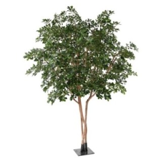 Künstlicher Ficus Black Olive Tree, ca. 310cm hoch, grün