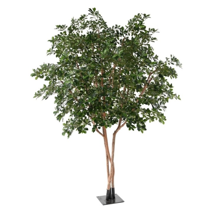 Künstlicher Ficus Black Olive Tree, ca. 310cm hoch, grün