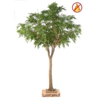 Künstlicher Bucida, ca. 360cm hoch, grün