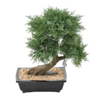 Künstlicher Bonsai Juniperus, ca. 55cm hoch, grün