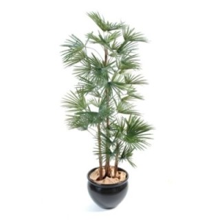 Künstliche Livistona, ca. 140cm, grün