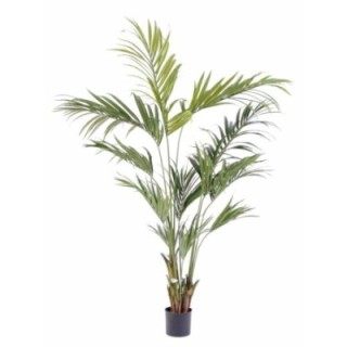 Künstliche Kentia-Palme, ca. 210cm, grün
