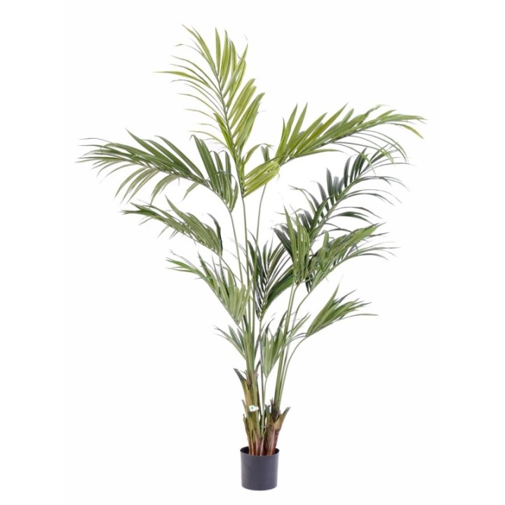 Künstliche Kentia-Palme, ca. 210cm, grün