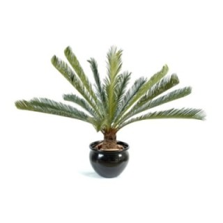 Künstlicher Riesen-Cycas, ca. 100cm, grün