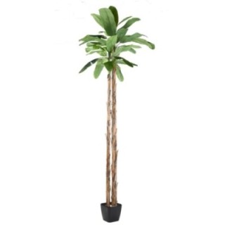 Künstlicher Bananenbaum, ca. 400cm, grün