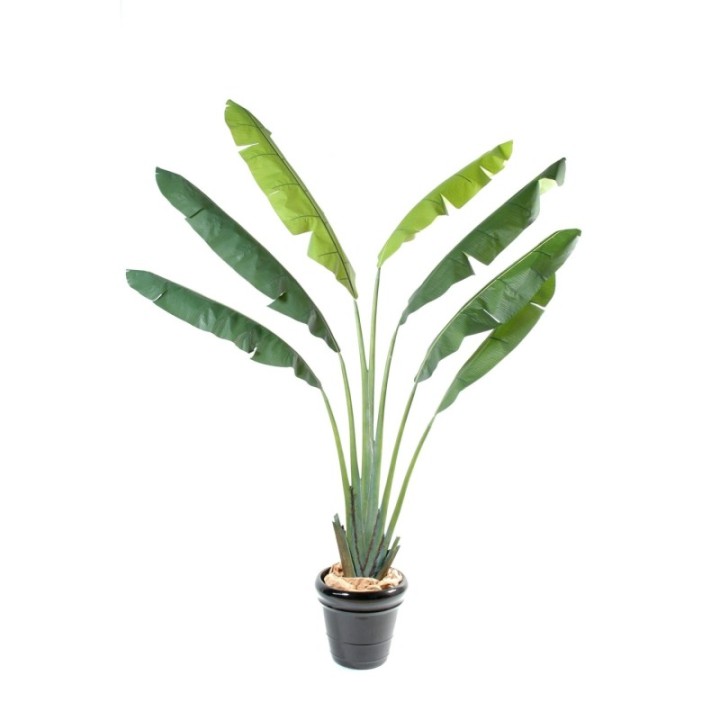 Künstlicher Reisender Baum, ca. 250cm, grün