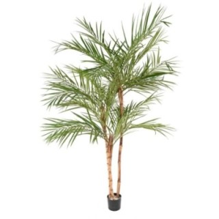 Künstliche Areca-Palme, ca. 170cm, grün
