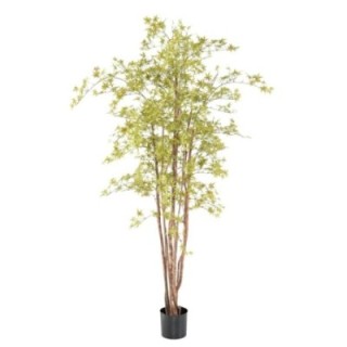 Künstlicher Aralia Baum, ca 210cm - UV-Beständig, hellgrün