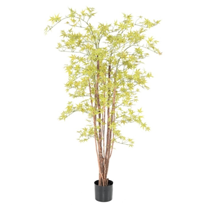 Künstliche Aralia, ca 160cm - UV-Beständig, hellgrün