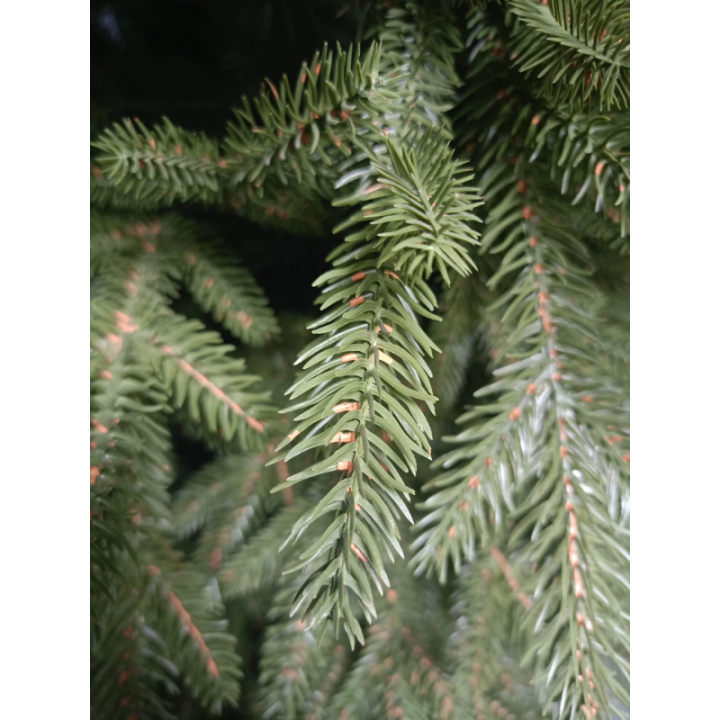 Künstliche Große Küstentanne PE/PVC, ca. 210cm