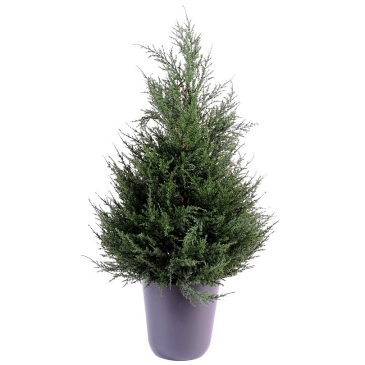 Künstlicher Zypressenbaum, ca 65cm, grün
