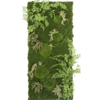 Pflanzenwand Farn Moos mix| Individuelle Anfertigung auf Bestellung -  180x80cm