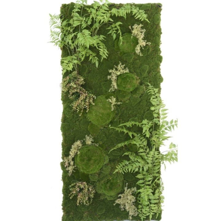 Pflanzenwand Farn Moos mix| Individuelle Anfertigung auf Bestellung -  180x80cm