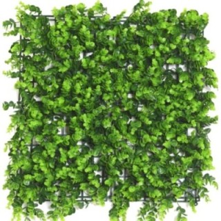 Kunsthecken-Paneel | Eukalyptus 50×50 cm UV