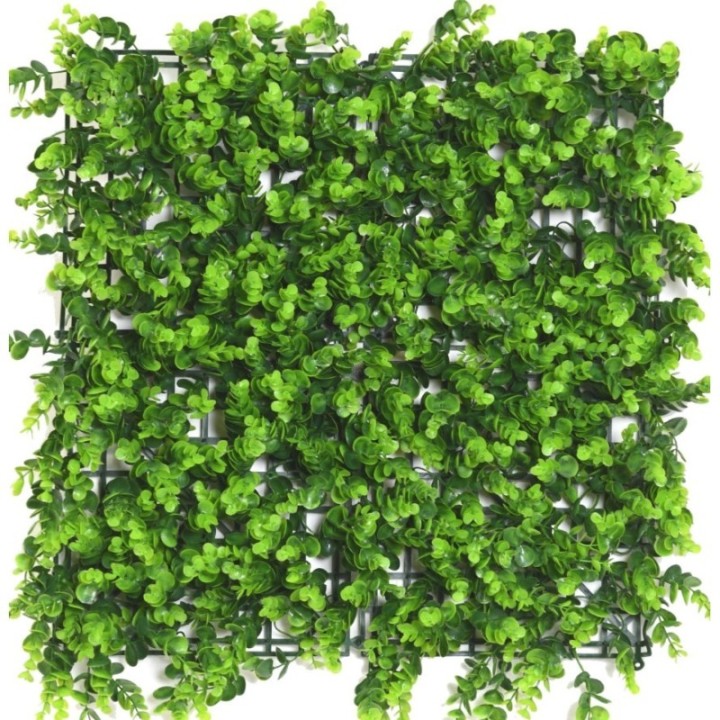 Kunsthecken-Paneel | Eukalyptus 50×50 cm UV