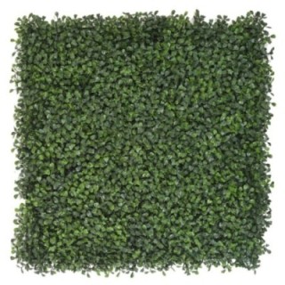 Kunsthecken-Paneel | Buxus beige 50×50 cm UV