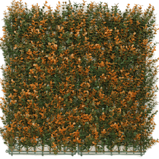 Kunsthecken-Paneel | Buxus orange 50x50 cm UV