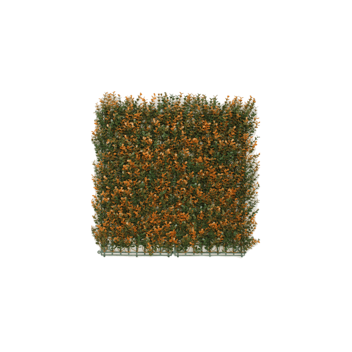 Kunsthecken-Paneel | Buxus orange 50x50 cm UV