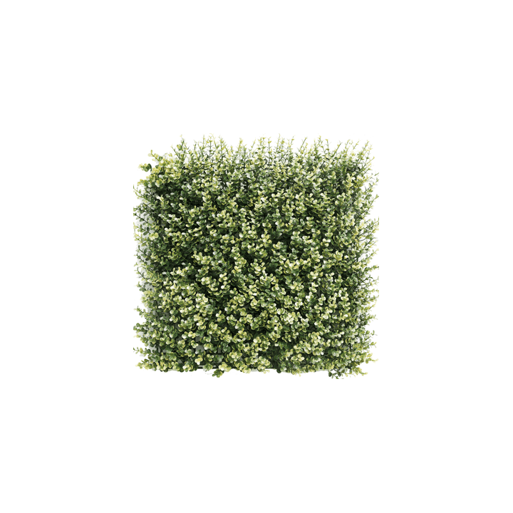 Kunsthecken-Paneel | Buxus beige 50x50 cm UV