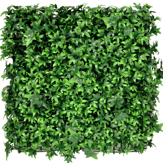 Kunsthecken-Paneel | Efeu 50x50 cm UV