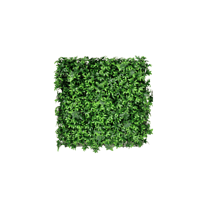 Kunsthecken-Paneel | Efeu 50x50 cm UV