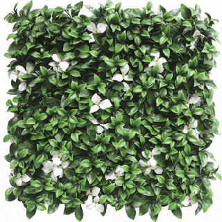 Kunsthecken-Paneel | Gardenia mit weißer Blüte 50x50 cm UV