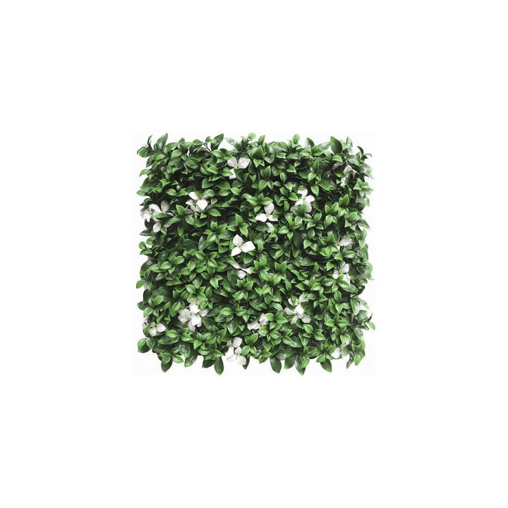 Kunsthecken-Paneel | Gardenia mit weißer Blüte 50x50 cm UV