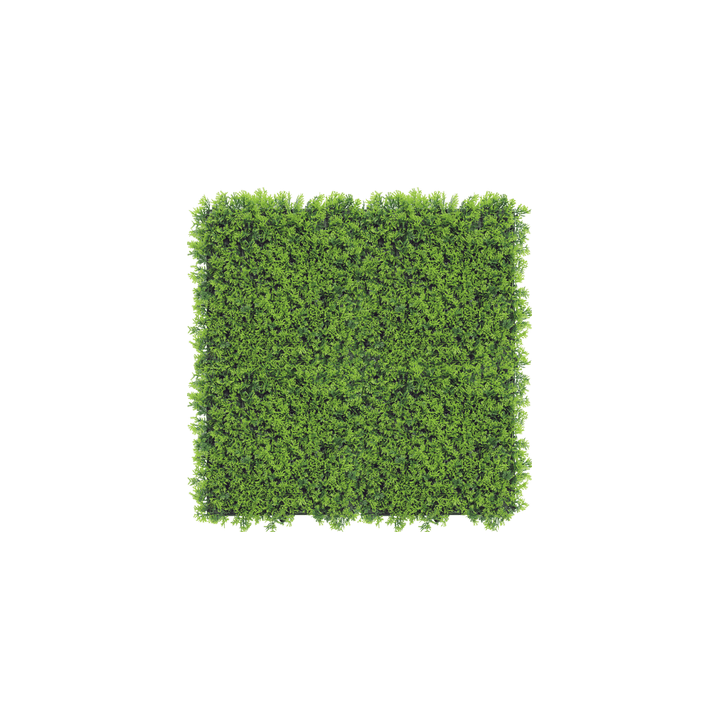 Kunsthecken-Paneel | Cupressus 50x50 cm UV