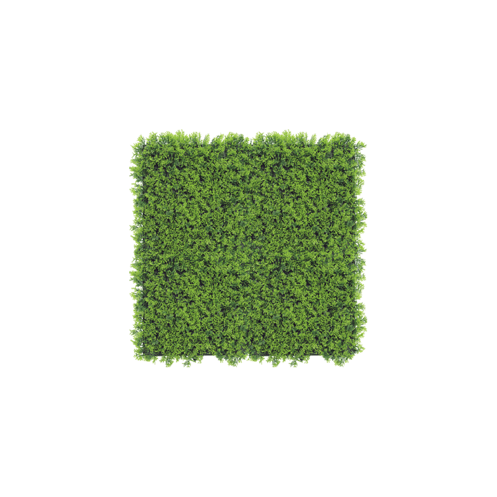 Kunsthecken-Paneel | Cupressus 50x50 cm UV