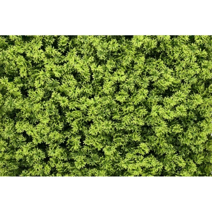 Kunsthecken-Paneel | Marie Moos - 100x100cm