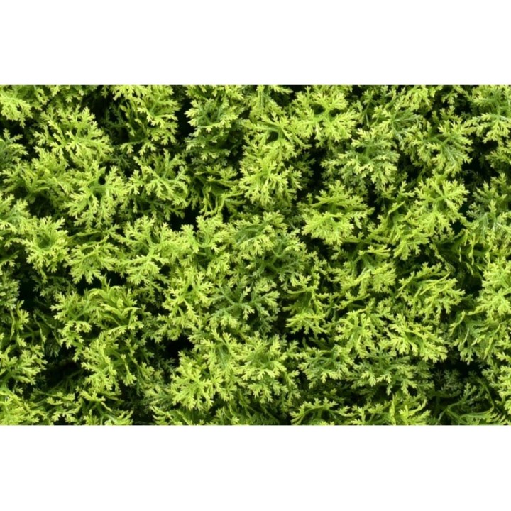 Kunsthecken-Paneel | Marie Moos - 100x100cm