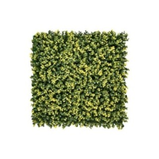 Kunsthecken-Paneel | Lina Buxus - 100x100cm