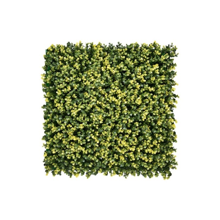 Kunsthecken-Paneel | Lina Buxus - 100x100cm