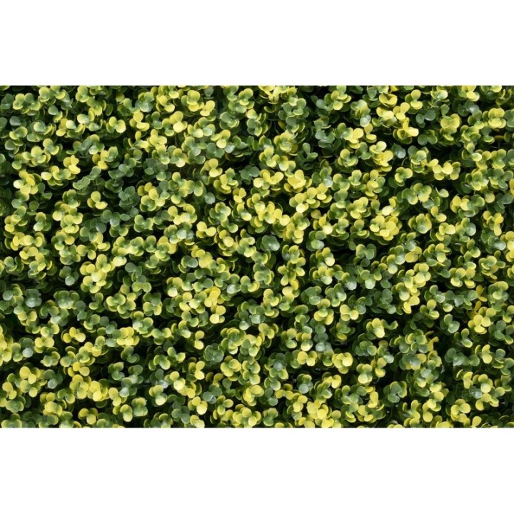 Kunsthecken-Paneel | Lina Buxus - 100x100cm