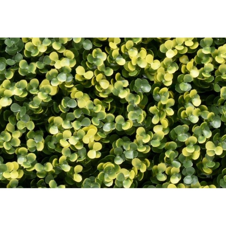 Kunsthecken-Paneel | Lina Buxus - 100x100cm