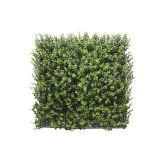 Kunsthecken-Paneel | Leah Buxus - 100x100cm