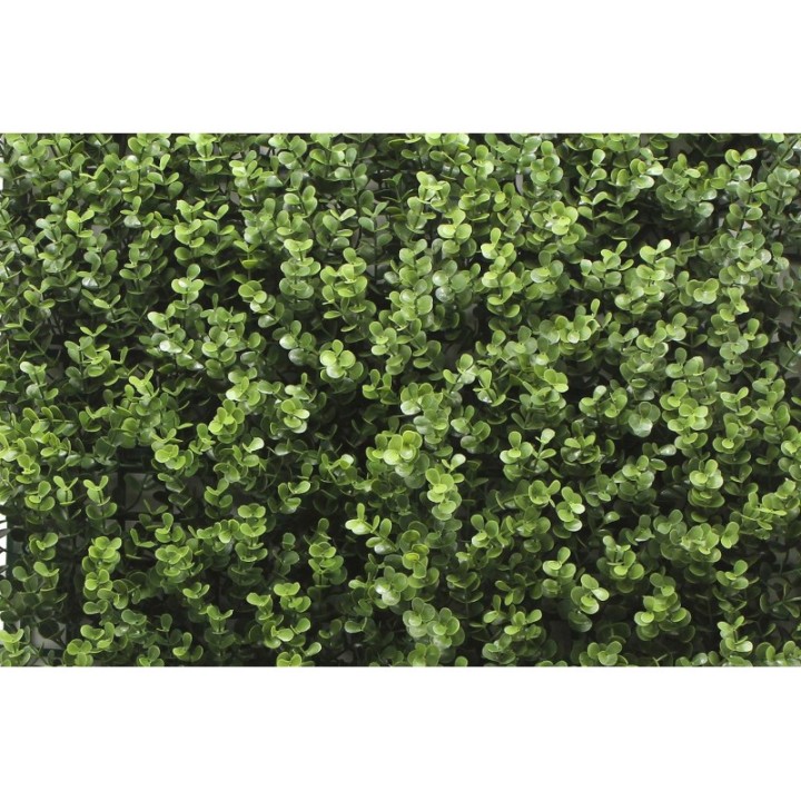 Kunsthecken-Paneel | Leah Buxus - 100x100cm