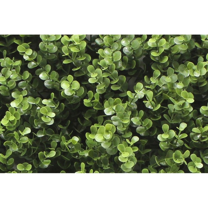 Kunsthecken-Paneel | Leah Buxus - 100x100cm