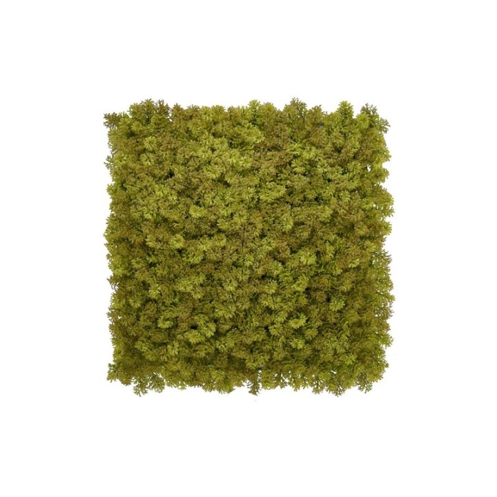 Kunsthecken-Paneel | Kate Moos - 100x100cm