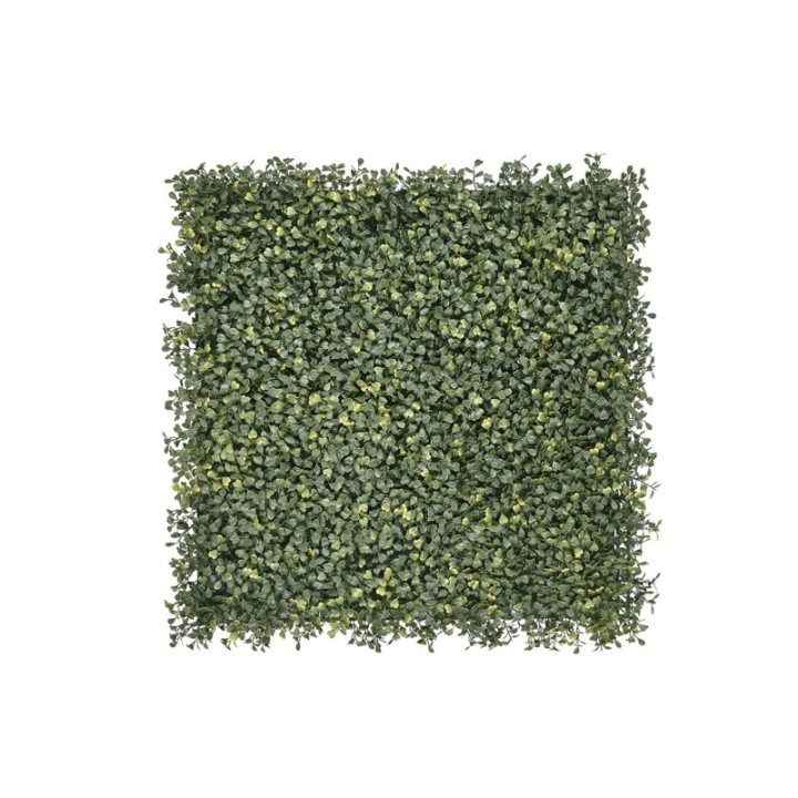 Buchsbaum Emma – Klassisch & Kompakt