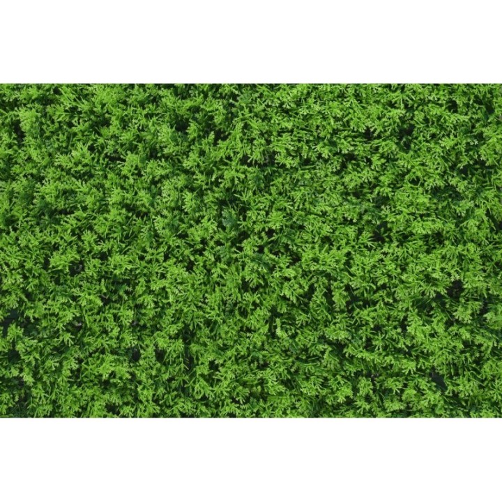 Charlotte Zypresse - 100x100cm