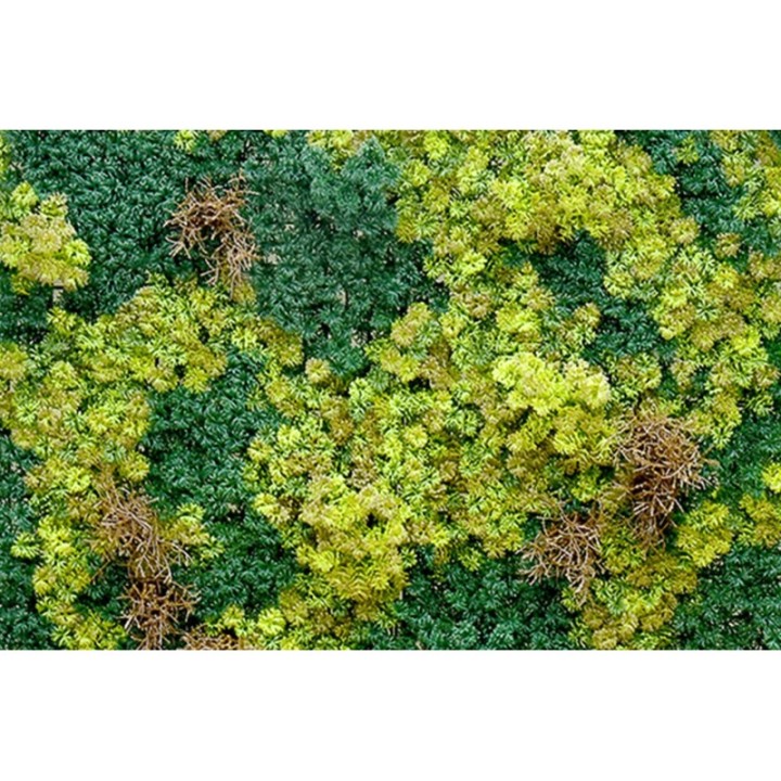 Abbey Moos - 100x100cm