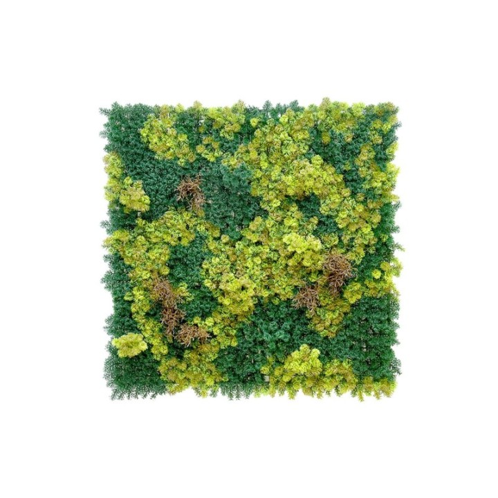 Abbey Moos - 100x100cm