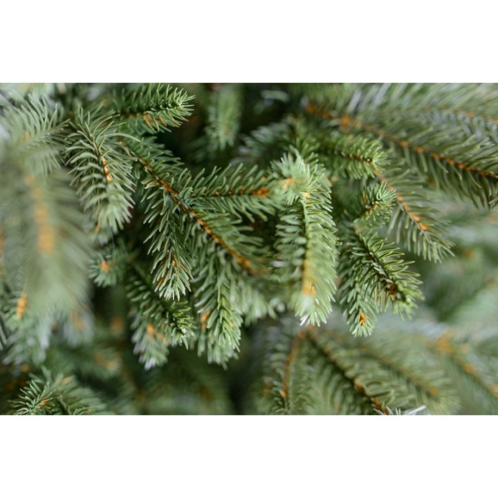 Spritzguss Nobilis Edeltanne, ca. 240cm