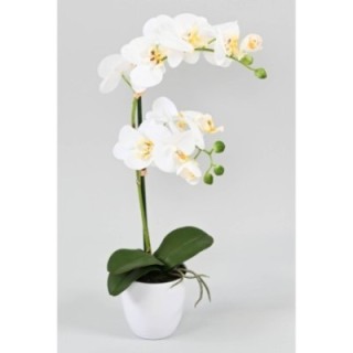 Künstliche Phalaenopsis Orchidee, ca 55cm, weiss