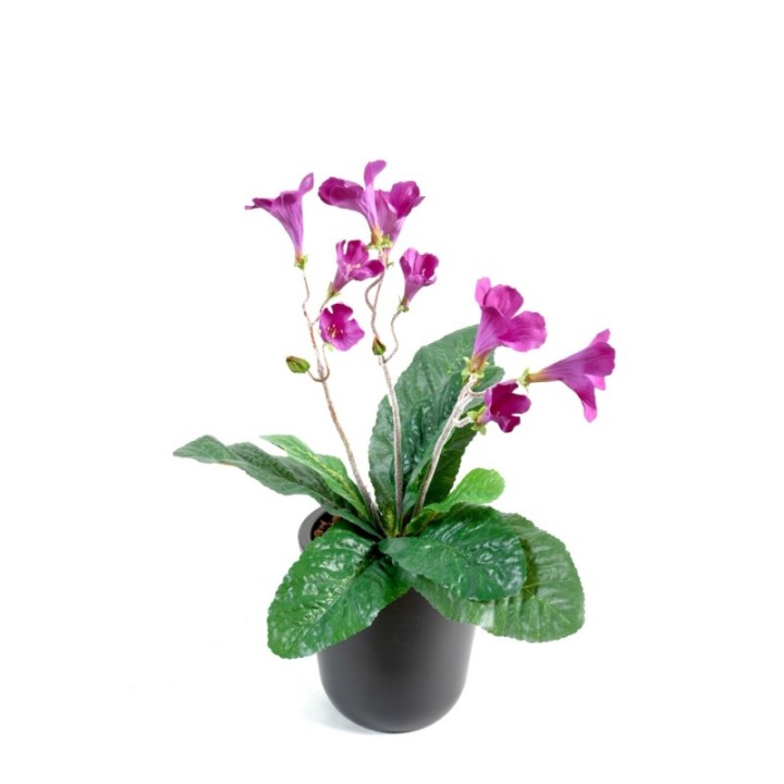 Künstlicher Streptocarpus, ca 38cm, fuchsia