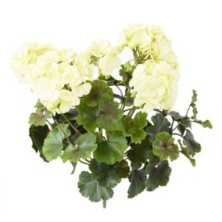 Künstliche Geranie, ca 35cm, UV-Beständig, weiss