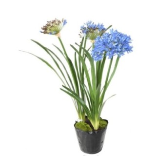Künstliche Agapanthus, ca 90cm, blau, im Topf